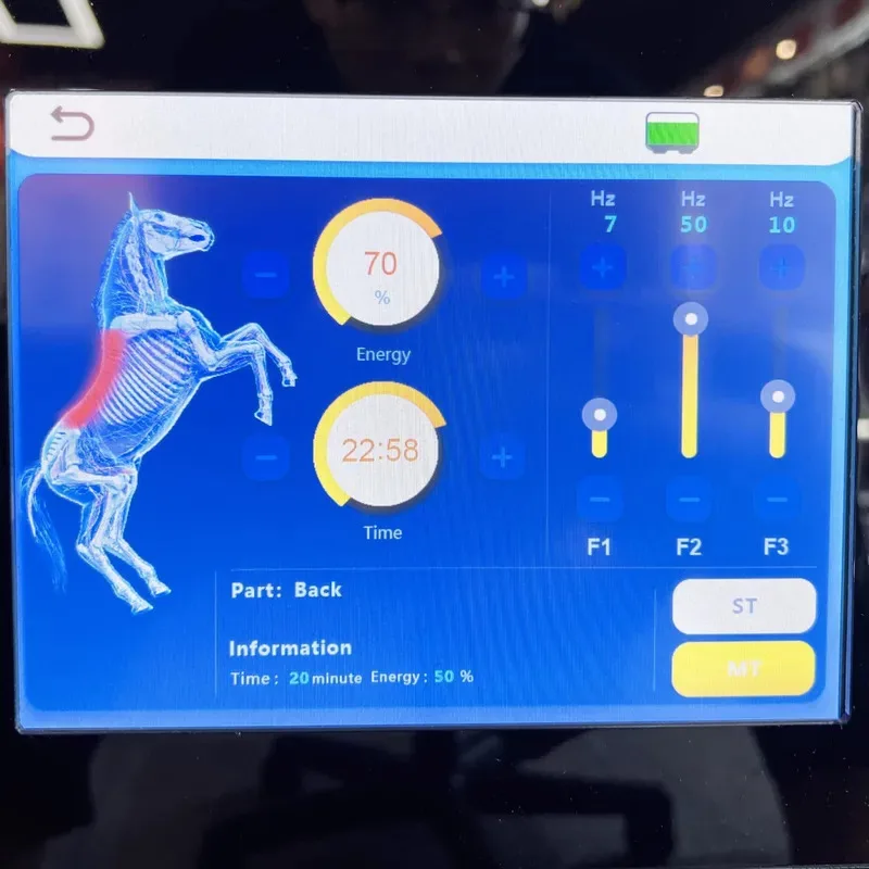 

Horses PEMF Therapy Equine Magnetic Physiotherapy Machine High Intensity 4000Gauss