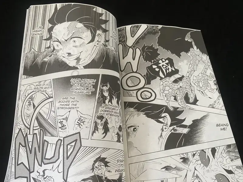 New Anime Demon Slayer Kimetsu No Vol.19 Yaiba Japan Fantasy Science Mystery Suspense English Version Manga Comic Book - Image 5