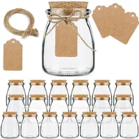 10Pcs 100/200ML Glass Pudding Jars Yogurt Jars with Cork Lids Glass Containers with Tags and Ropes for Family party Diy Honey