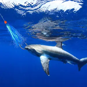 Fiş balıkçılığını cezbetmek için en iyi 10 satış №9