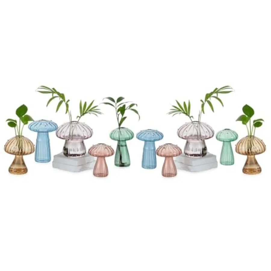 

Станции для размножения растений: Стеклянный террариум для посева потоса и трав - Прекрасный гидропонный прорастворитель для оконных столешниц