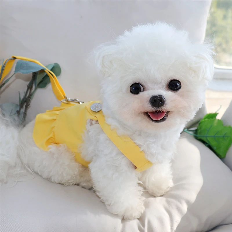 Small Dog Autumn Dress Bichon Frise Poodle Pretty Pullover Teddy Soft Dress Female Dog Clothes With Leash