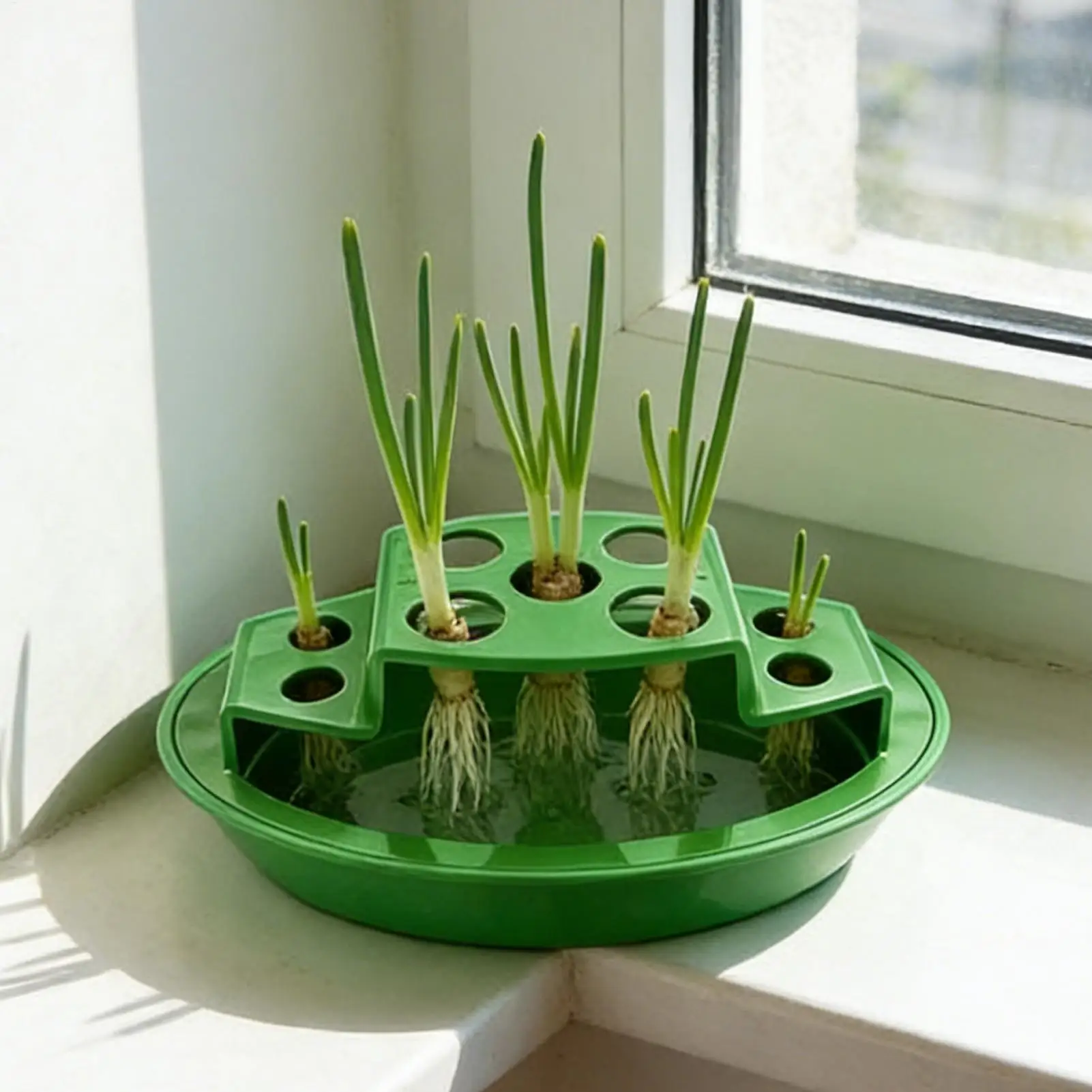 Green Scallion Growing Pot Hydroponic Seedling Planter Box Rack Plant Trays for Home Indoor Kitchen Corner Window Patio Onion