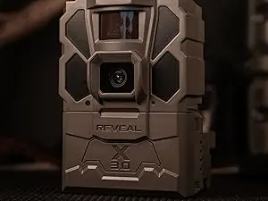 231