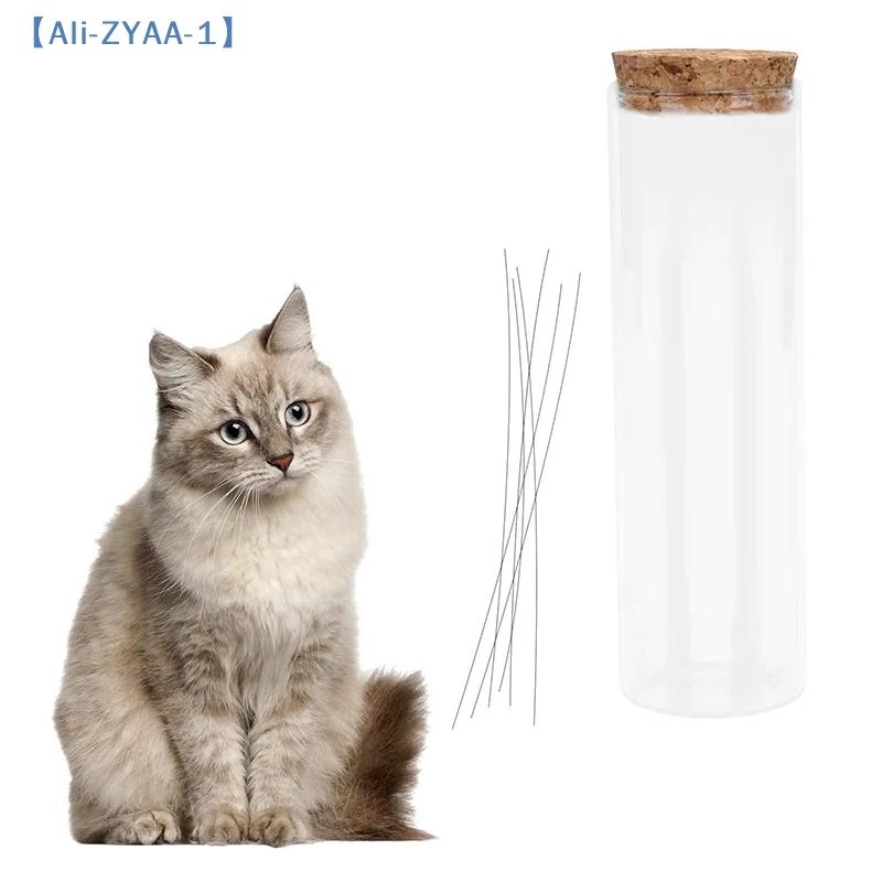 【ZYAA-1】Katzenwimpern-Glas, Katzenwimpern-Sammler, Transparente Katzenwimpern-Vase, Haustier-Erinnerungsbox, Geschenk zur Erinnerung an verlorene Katzen