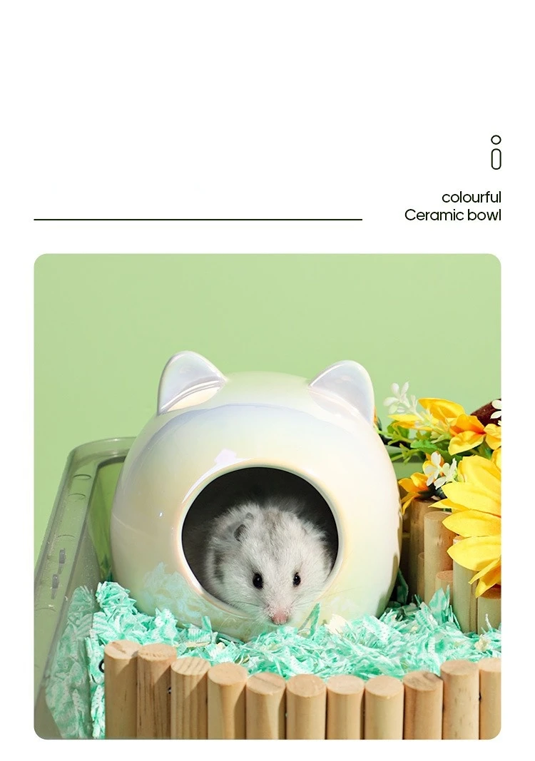 Ceramic Hamster Hideout Guinea Pig Hideout Cute Pets Small Animal Adorable House