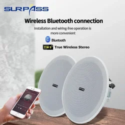 6-calowy głośnik sufitowy Bluetooth 3D Stereo 10W Wewnętrzne głośniki morskie Kino domowe do łazienki Kuchnia Outdoor Camper