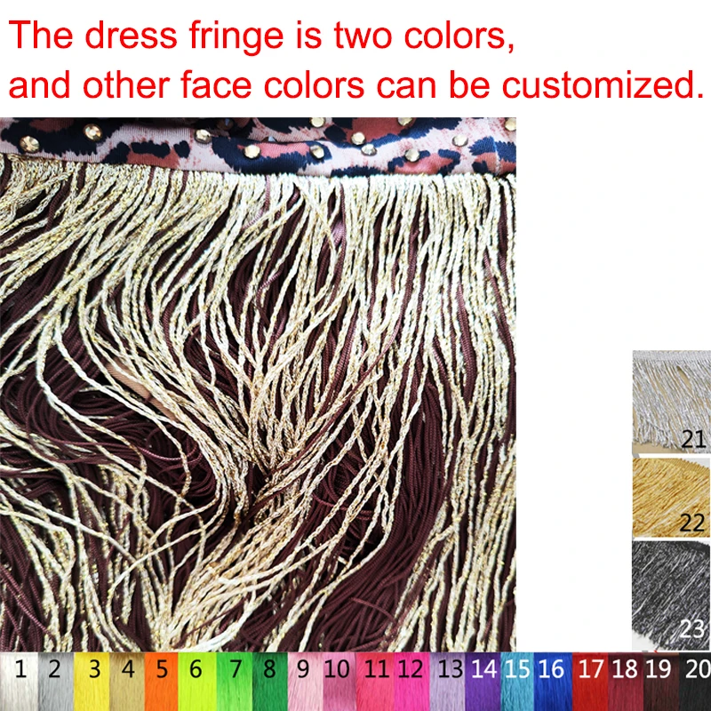 New Latin Dance Dress Competition Performance Adult Leopard Print Two-Color Fringe Flash Diamond Long Sleeve Dance Dress