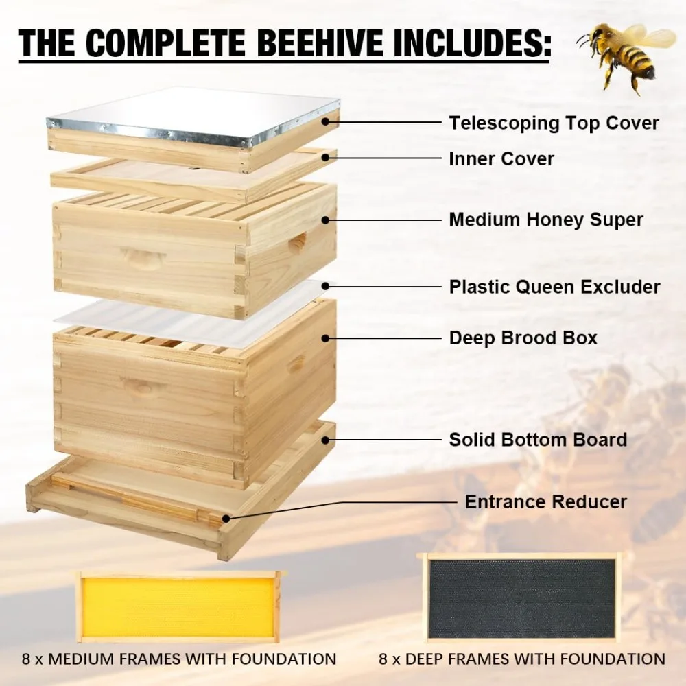 8 Frame Bee Hive, Compelte Bee Hive Starter Kit Includes 1 Deep Brood Honey Bee Hives Box, 1 Medium Super Bee Box Beehive Frames