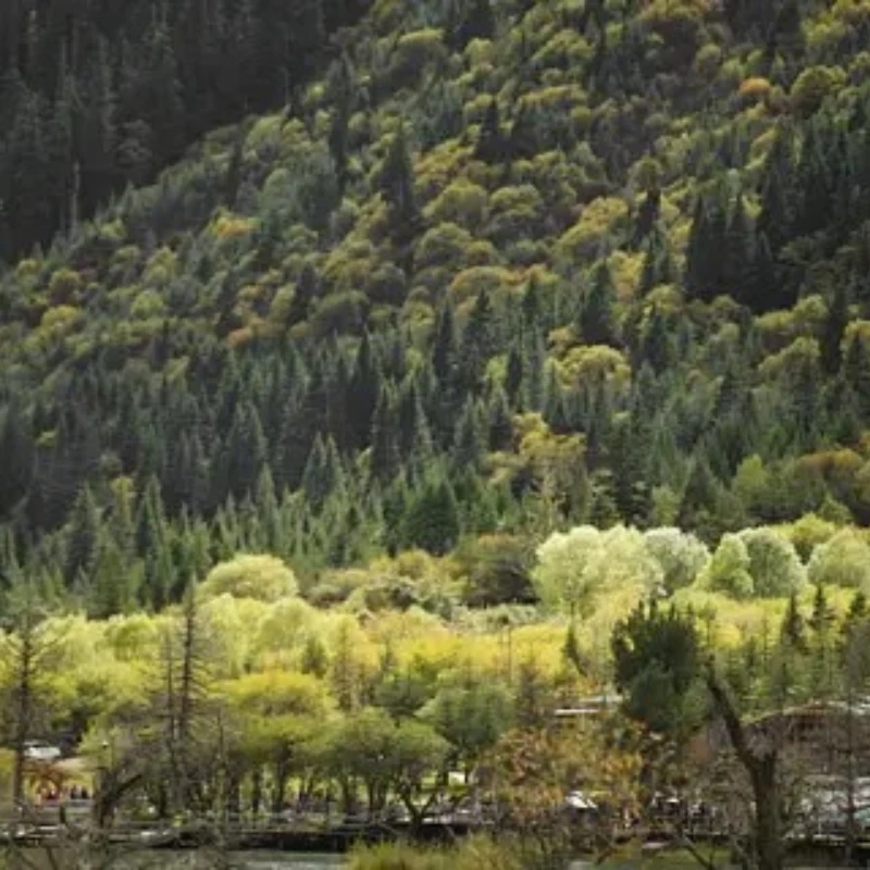 

iFlight BLITZ M10 V2 GPS integrate Compass module QMC5883L Built-in TCXO crystal and farad capacitor for FPV Parts