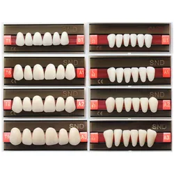 B1 A1 A2 A3 Shade Two-Layer Dental Acrylic Synthetic Resin Teeth Whitening Denture Fake Oral Care False Upper Lower Tooth