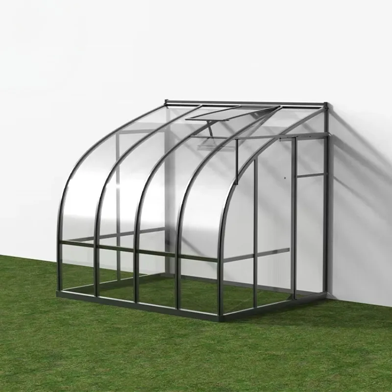 Wholesale Protect Rain Polycarbonate Custom Mini Commercial Garden Plastic Greenhouse