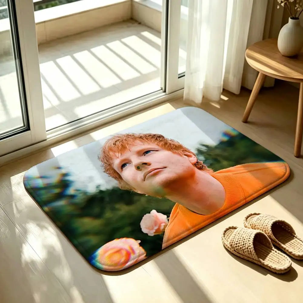 Ed S-Sheeran Albums Bedroom Decor Carpet  for Living Room Thick Plush Study Floor Mat Home Fluffy Soft Rug