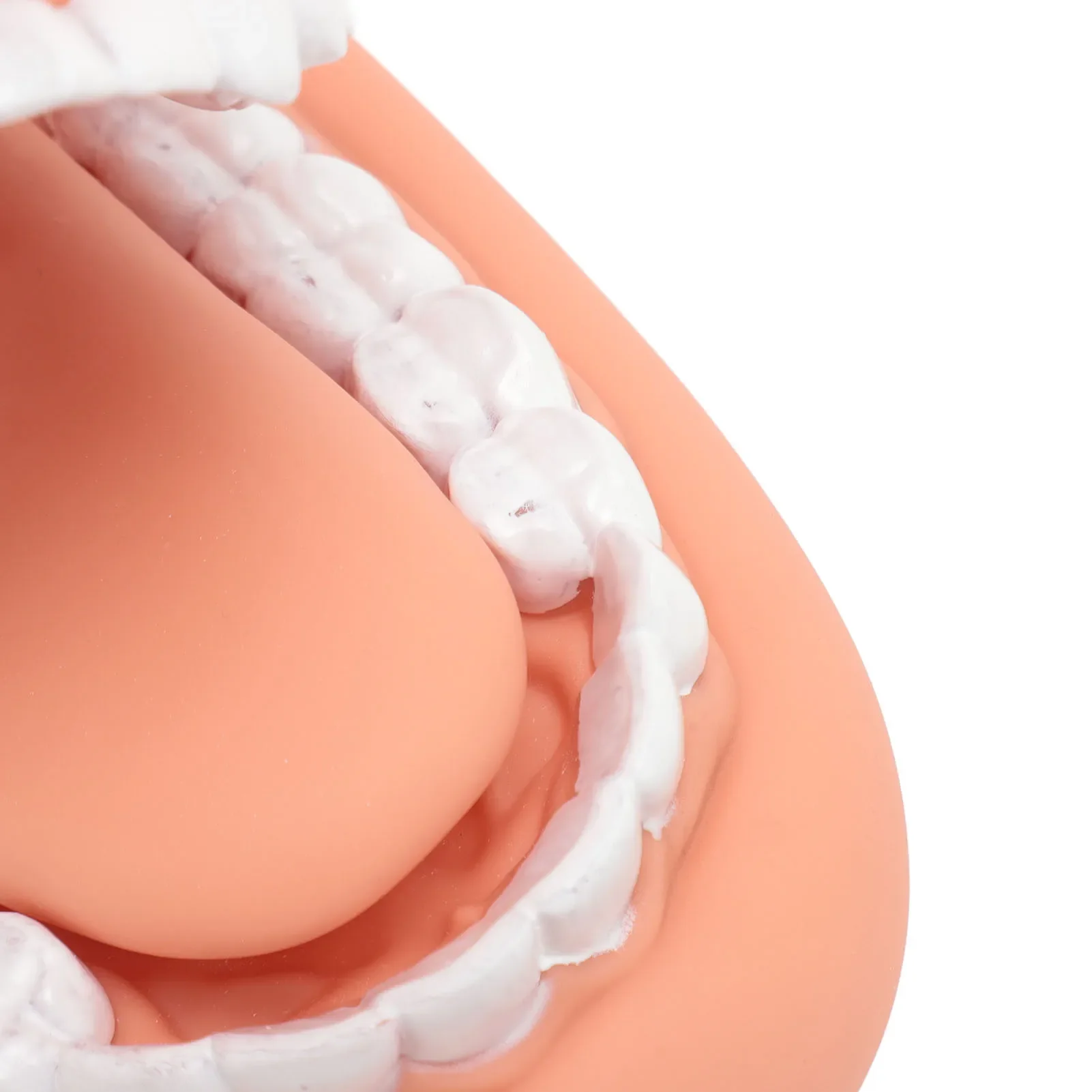 نموذج العناية بالأسنان دمية الفم مع اللسان 28 الأسنان سيليكون علاج الكلام مظاهرة نموذج لشكل الأسنان لتعليم الأطفال #6