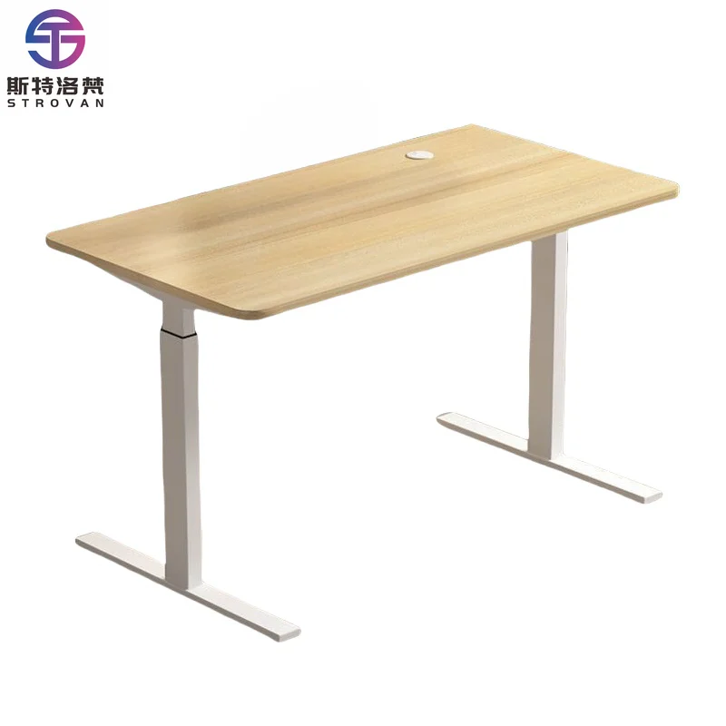 Dual Motor Electric Adjustable Standing Desk Height Adjustable Desk Frame Sit Stand Desk Luxury Office Furniture Table