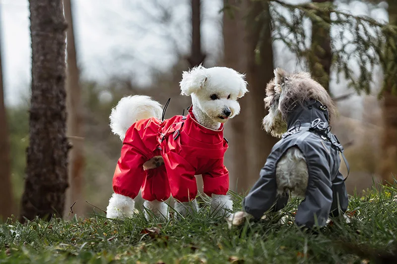 Hunderegenmantel mit Geschirr, wasserdichte Haustier-Regenjacke für kleine Hunde, verstellbarer, reflektierender Hunde-Regenoverall mit 4 Beinen – Detail 13