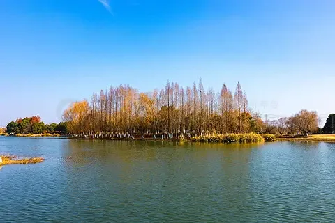 

Зарядное устройство ToolkitRC M8DAC, интеллектуальное, 2-канальное, 1-8S, с IPS-дисплеем, AC 1200W, 50A/30A, для моделей автомобилей 1/5, 1/6, 1/7, быстрая зарядка