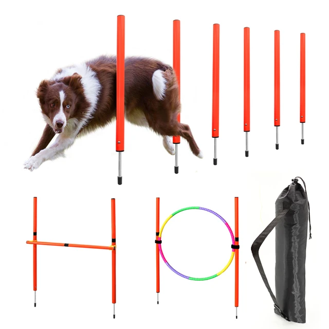 Dog Agility jammy Equipment Portable Pet