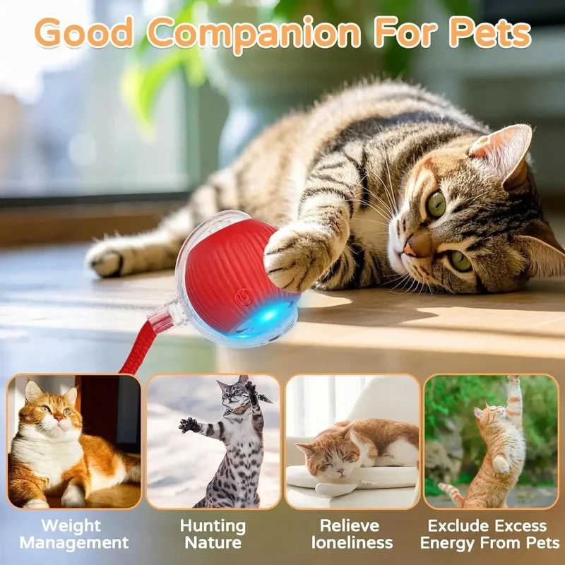 Automatic Rolling Interactive Ball Toy, Rechargeable Smart Pet Electric Toy with Faux Tail, Imitate Mouse for Dog Cat Training view 3