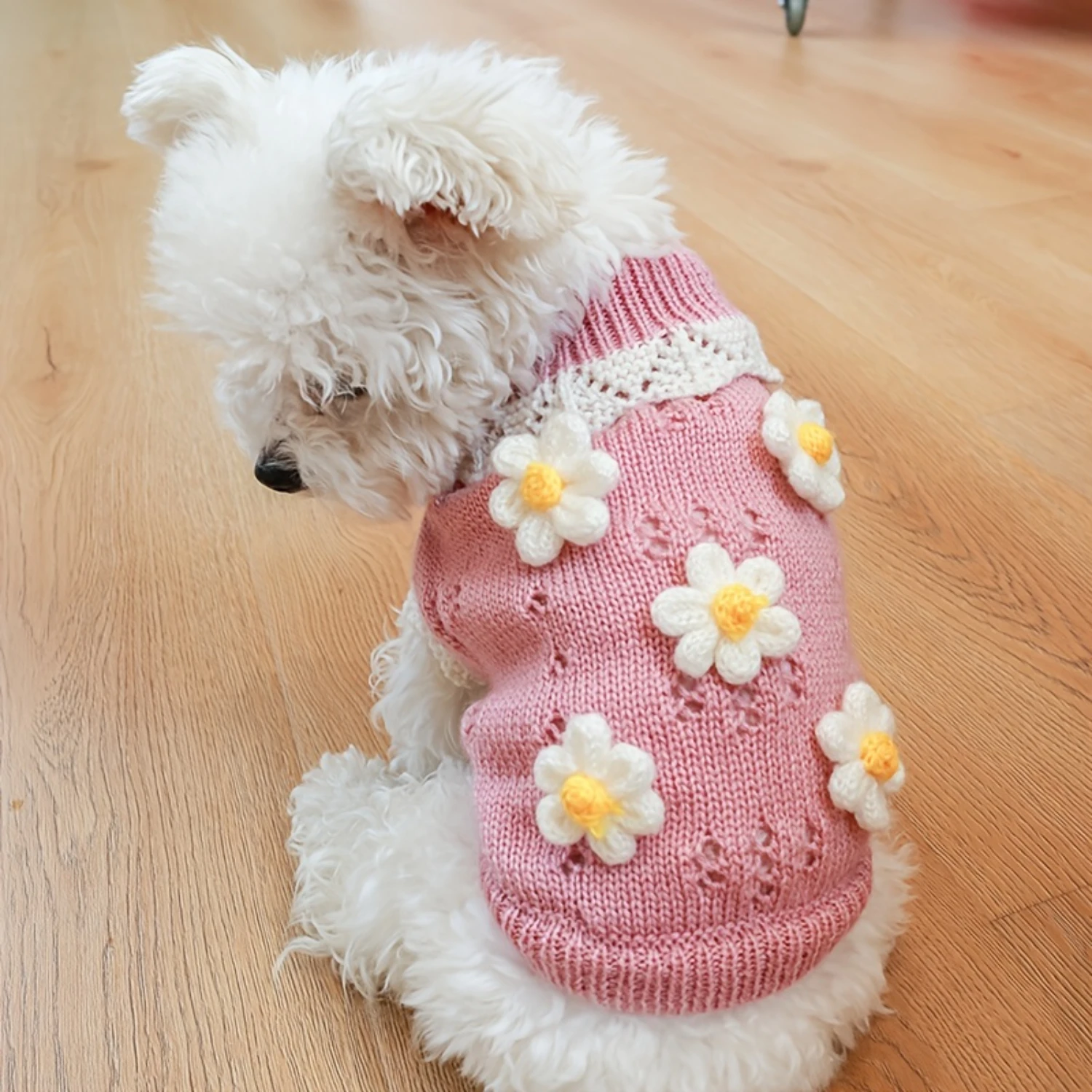 

Cherry Knitwear Hoodie for Small and Medium Dogs - Keep Your Pet Warm and Stylish