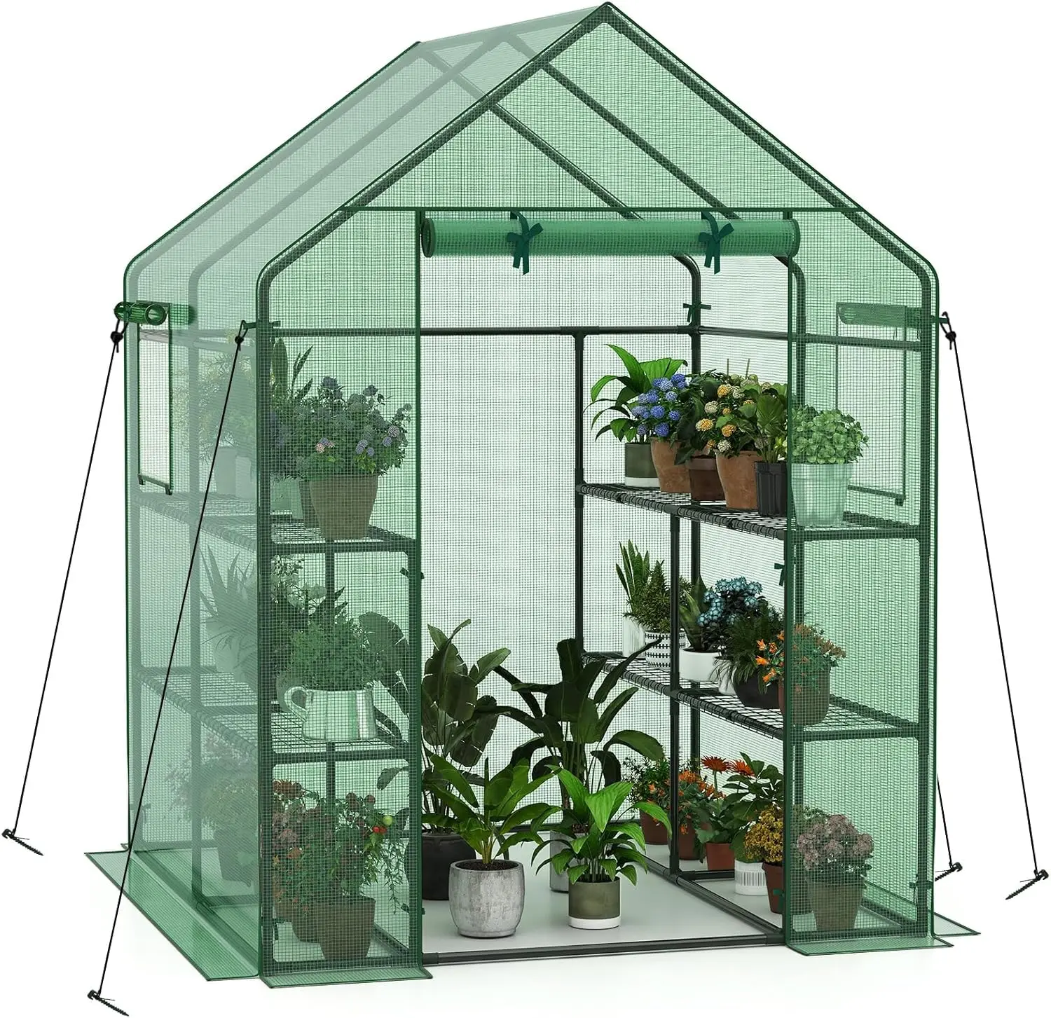 

Walk-in Greenhouse with Roll-Up Door & 2 Windows, 8 Shelves, Weather-Proof Cover for Indoor/Outdoor Gardening (57x57x77in)