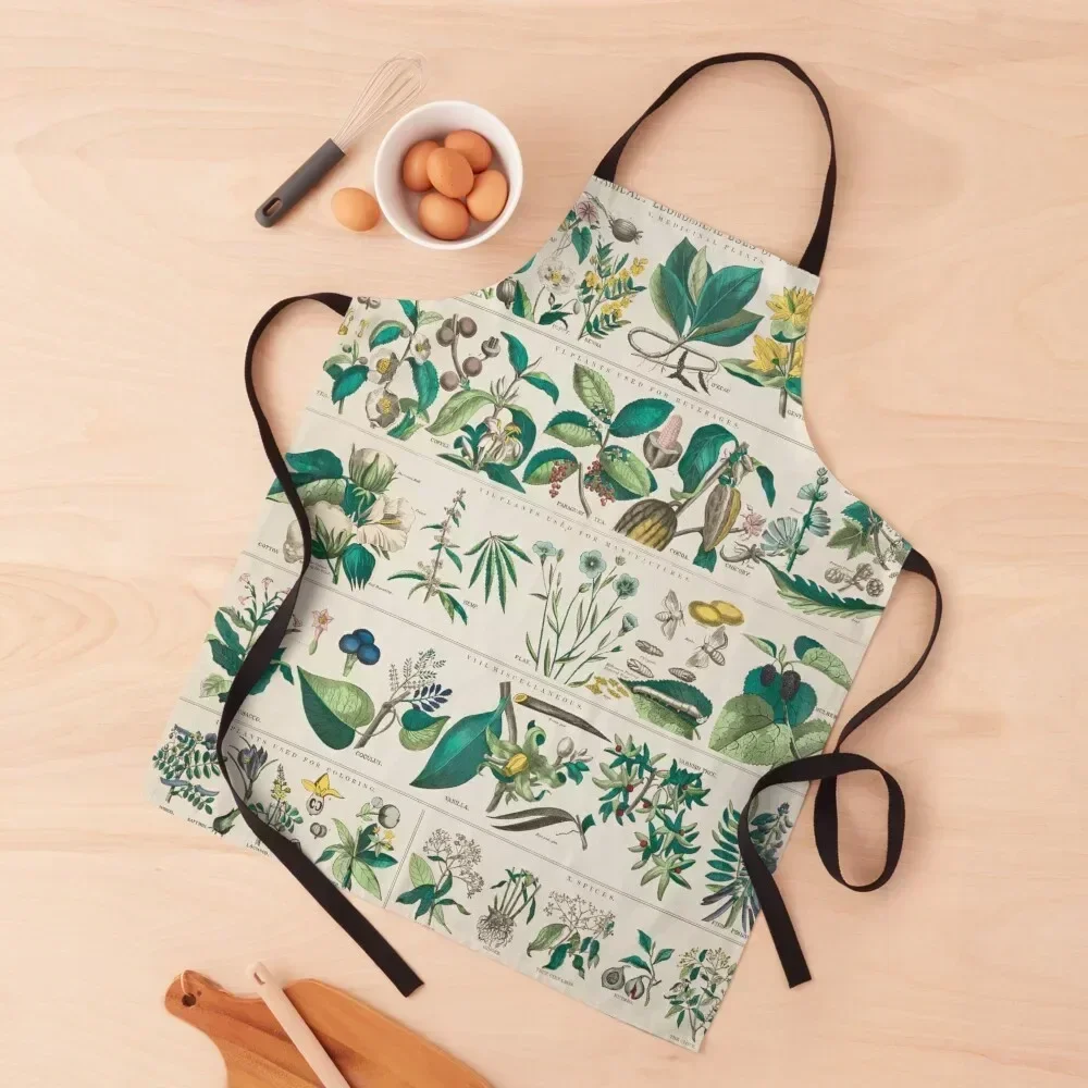 

Antique Plant Chart Apron Bib For Kitchen cooks clothes beauty master for women with pocket Apron