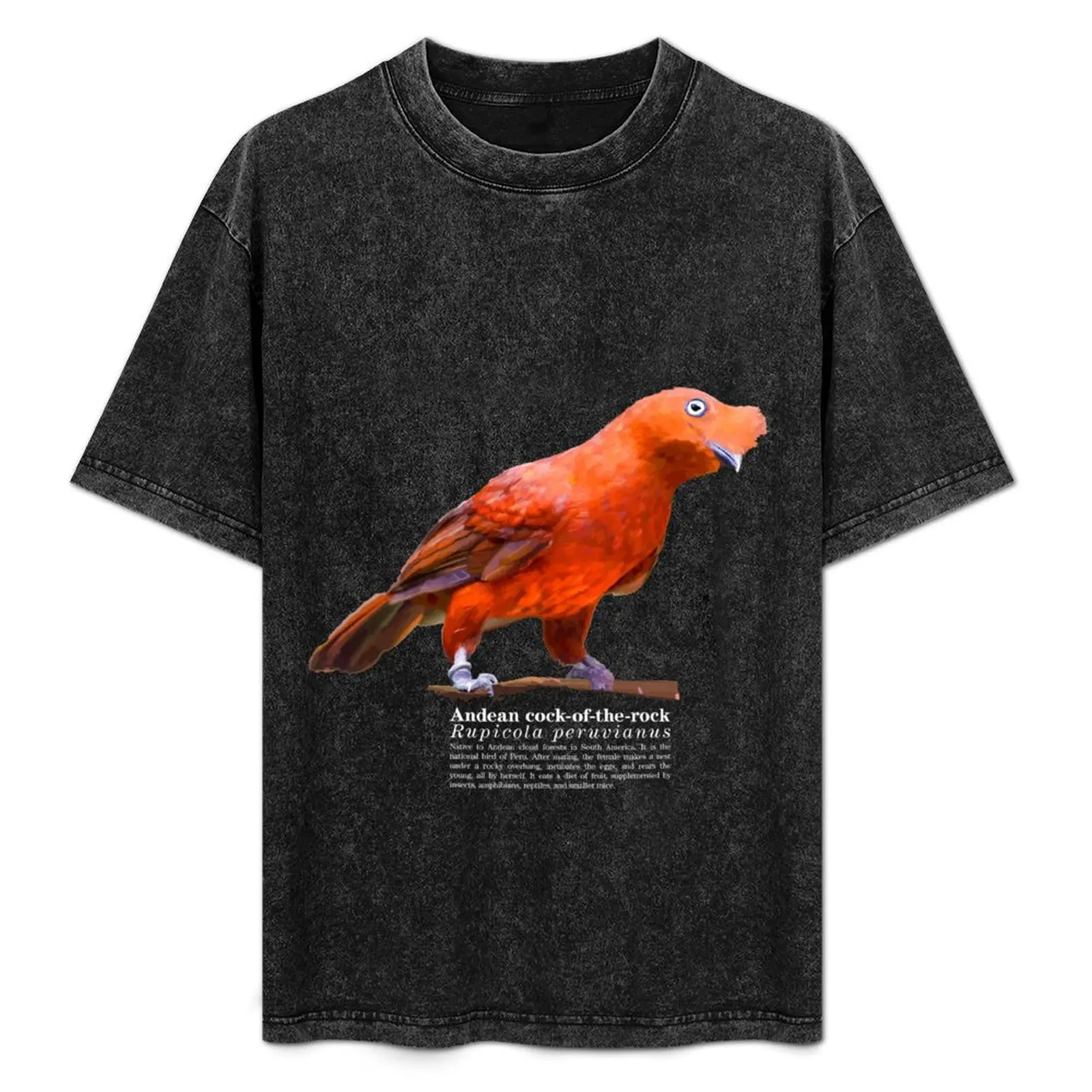 Andean cock-of-the-rock bird on the rocks T-Shirt Active Sports Short Sleeve Cotton Shirt