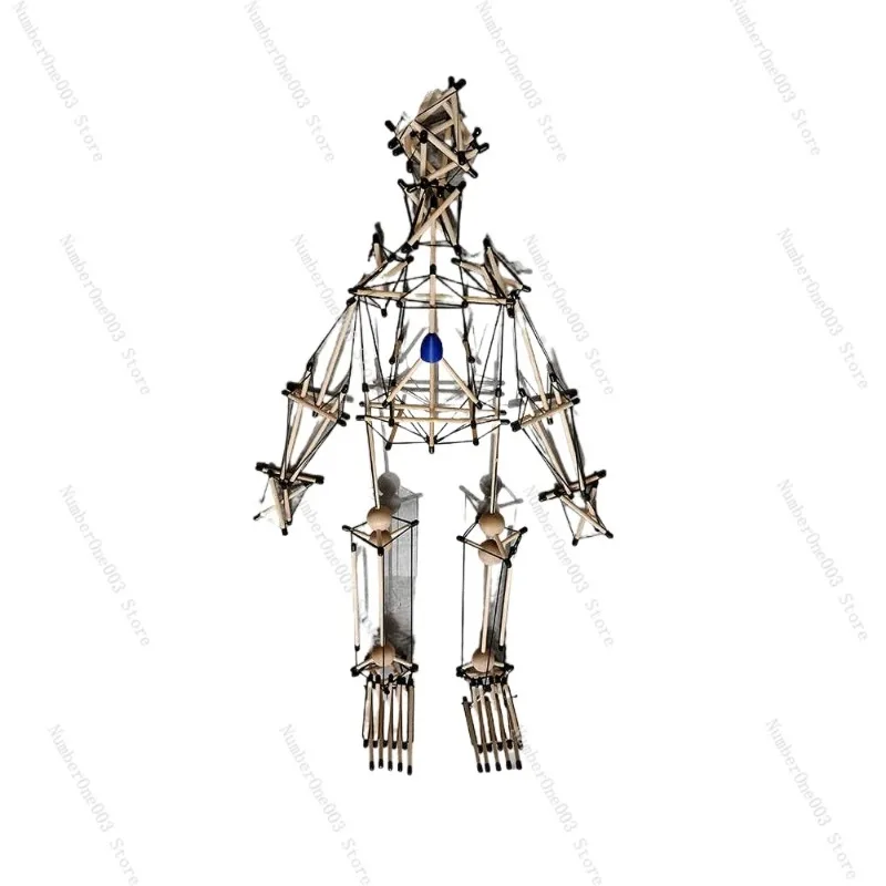 Anatomical Whole Body Structure Fascia Tension Model