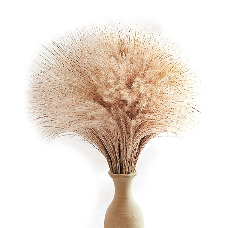 60Pcs Pampas Grass,  Pampas Grass Decor. Manually Selected Dried Pampas Grass & Pompass Grass Branches Natural