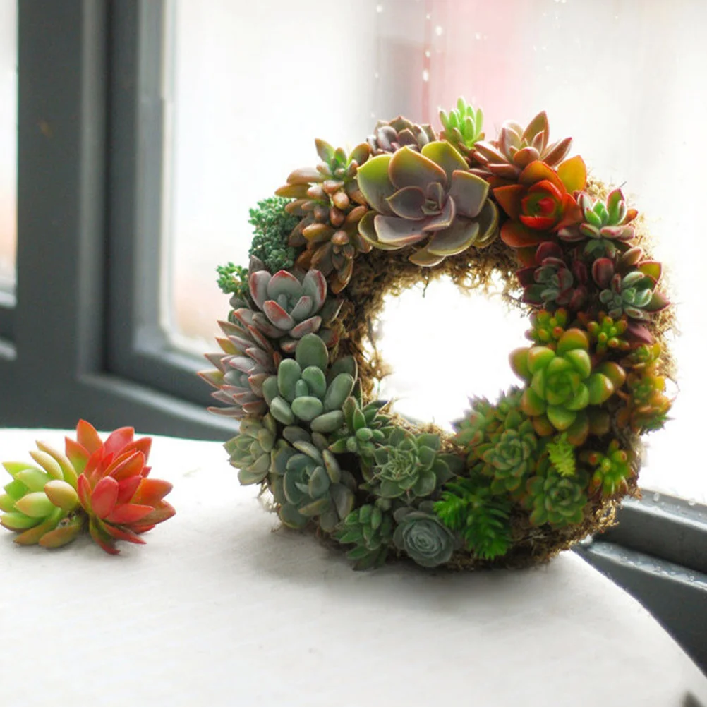 

Succulent Wreath Hook Iron Plant Hanger Wall Hanging Planter Metal Flowerpot for Home Office Studio Market Supermarket