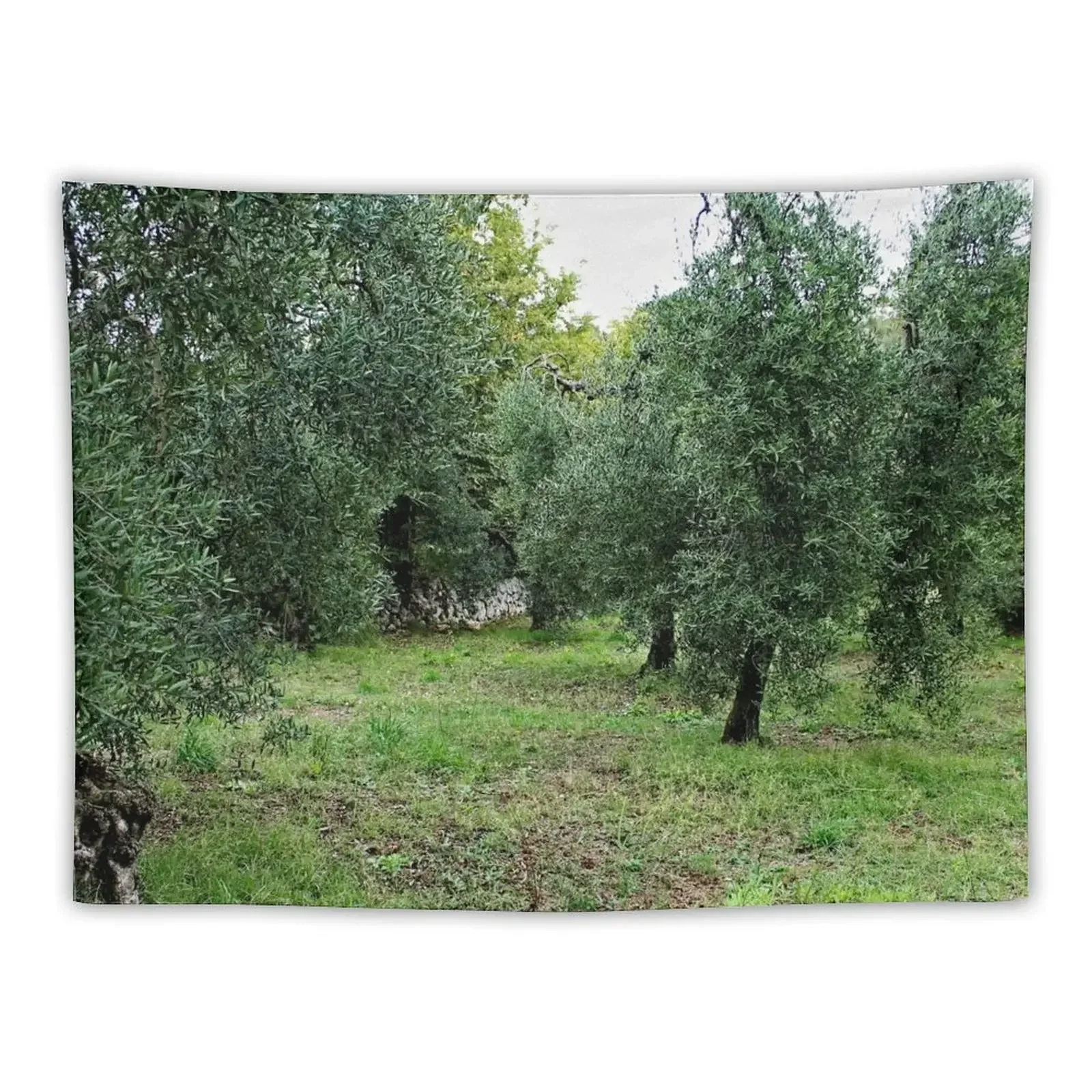 Mediterranean Olive Trees Grove Tapestry Decoration Aesthetic Outdoor Decoration Room Decoration Korean Style Tapestry