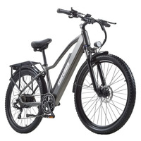 Electric Cargo Bike EU WAREHOUSE BURCHDA RX70 800W 48V20Ah 27.5inch Bike for Adult Hot Sale in EU Market Factory Supplier