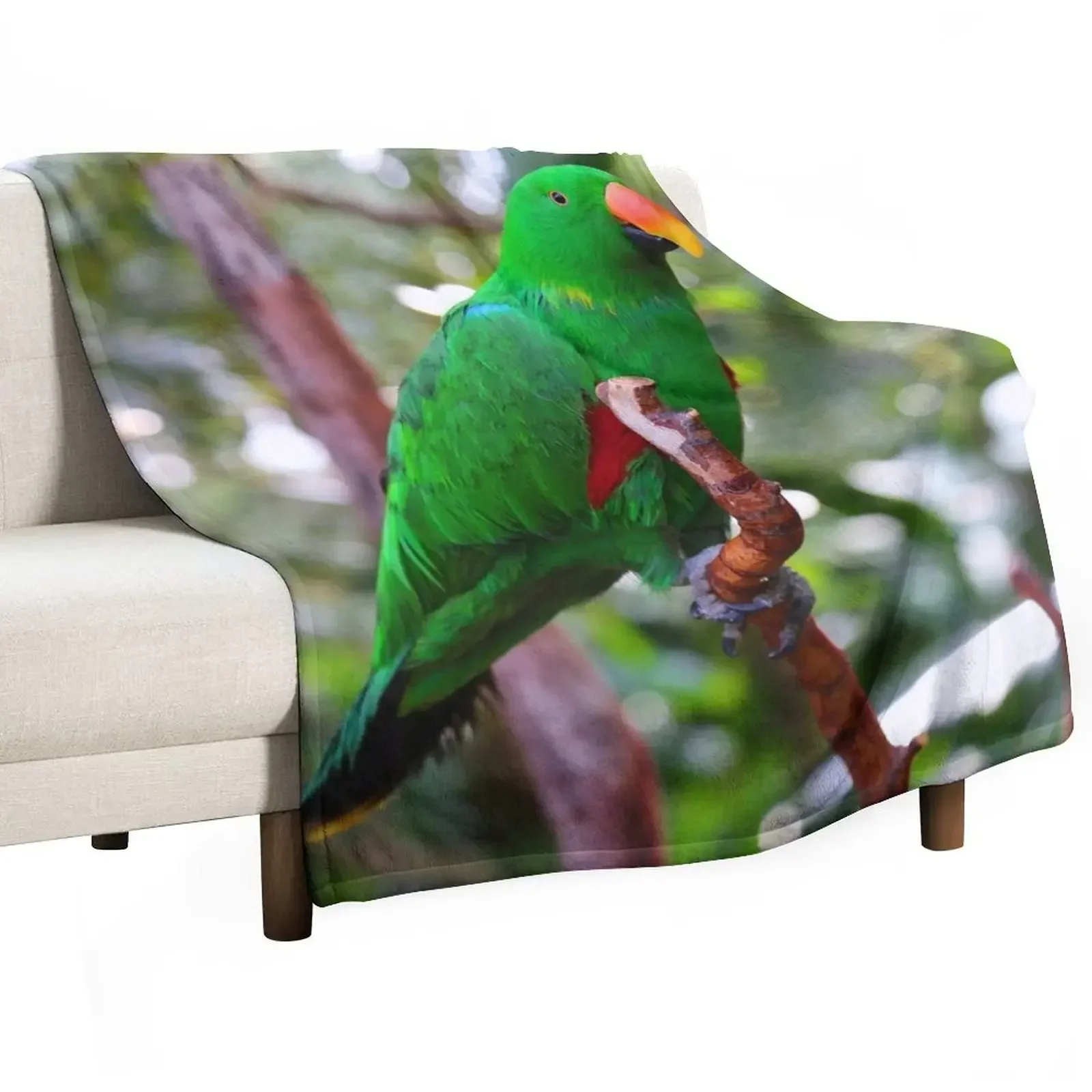 Stunning Eclectus Parrot on Branch Throw Blanket Hairys Thermal Blankets