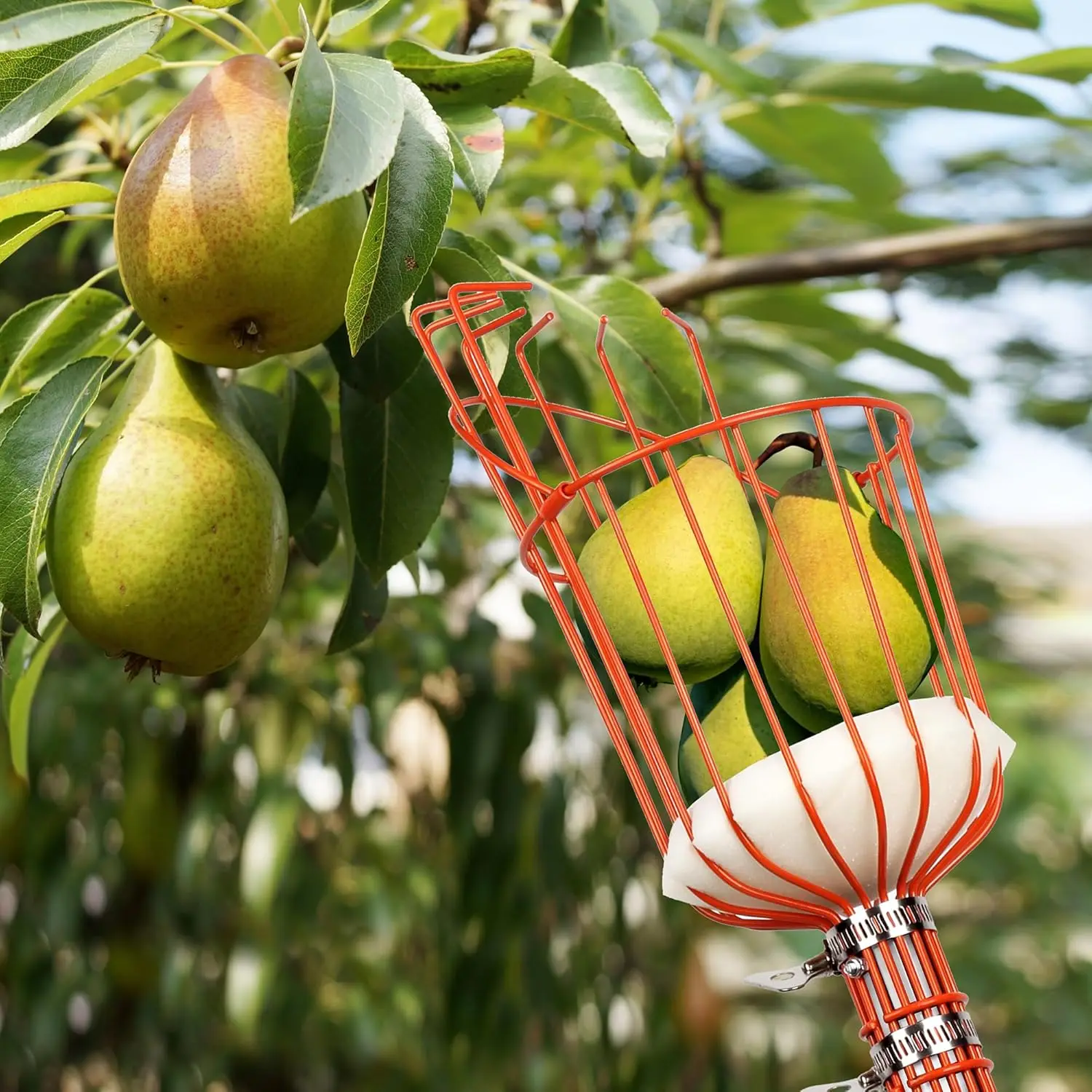 23FT Fruit Picker with Basket, 35-276 Inch Ultra-Long Mango Picker Pole, Heavy Duty Cherry Picker Tool for High Tree, Citrus Apple Avocado Pear Lemon Orange Picking, with Storage Bag