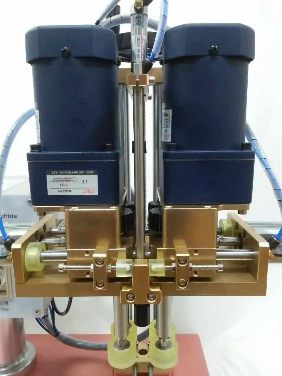 Mesin Pengisian dan Penutupan Botol Sekrup Tutup untuk Inspeksi