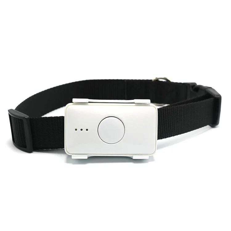 

low power 4g Real-time tracking pet /personal tracker