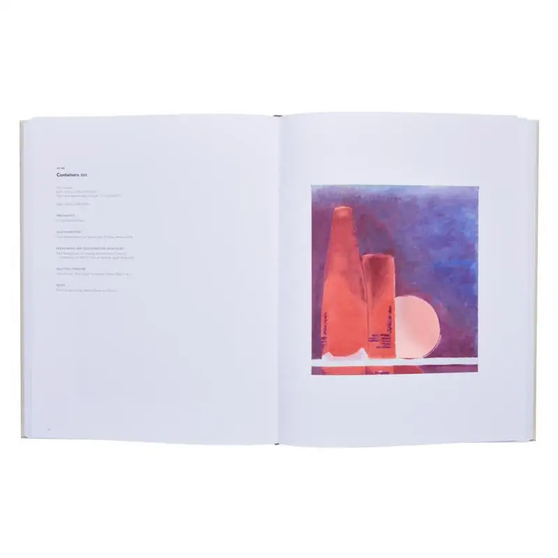 Luc Tuymans Catalogue Raisonne Of Paintings Vol 3 Eva MeyerHermann David Zwirner Books 9781644230138 Book