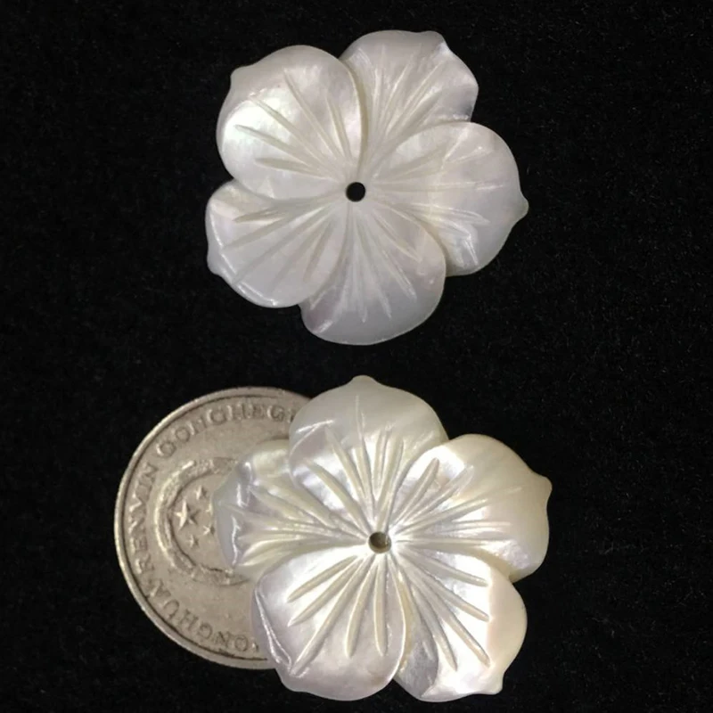 

Shell Flower Sample 30mm 2pcs /Freight