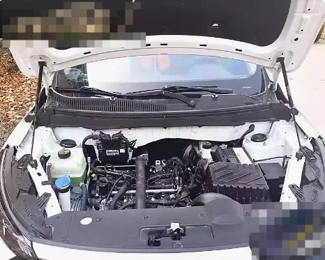 

1 Set Gas Struts for Changhe Q25 2015-2019 Front Hood Bonnet Lift Support Damper Shock Absorber Prop Rods