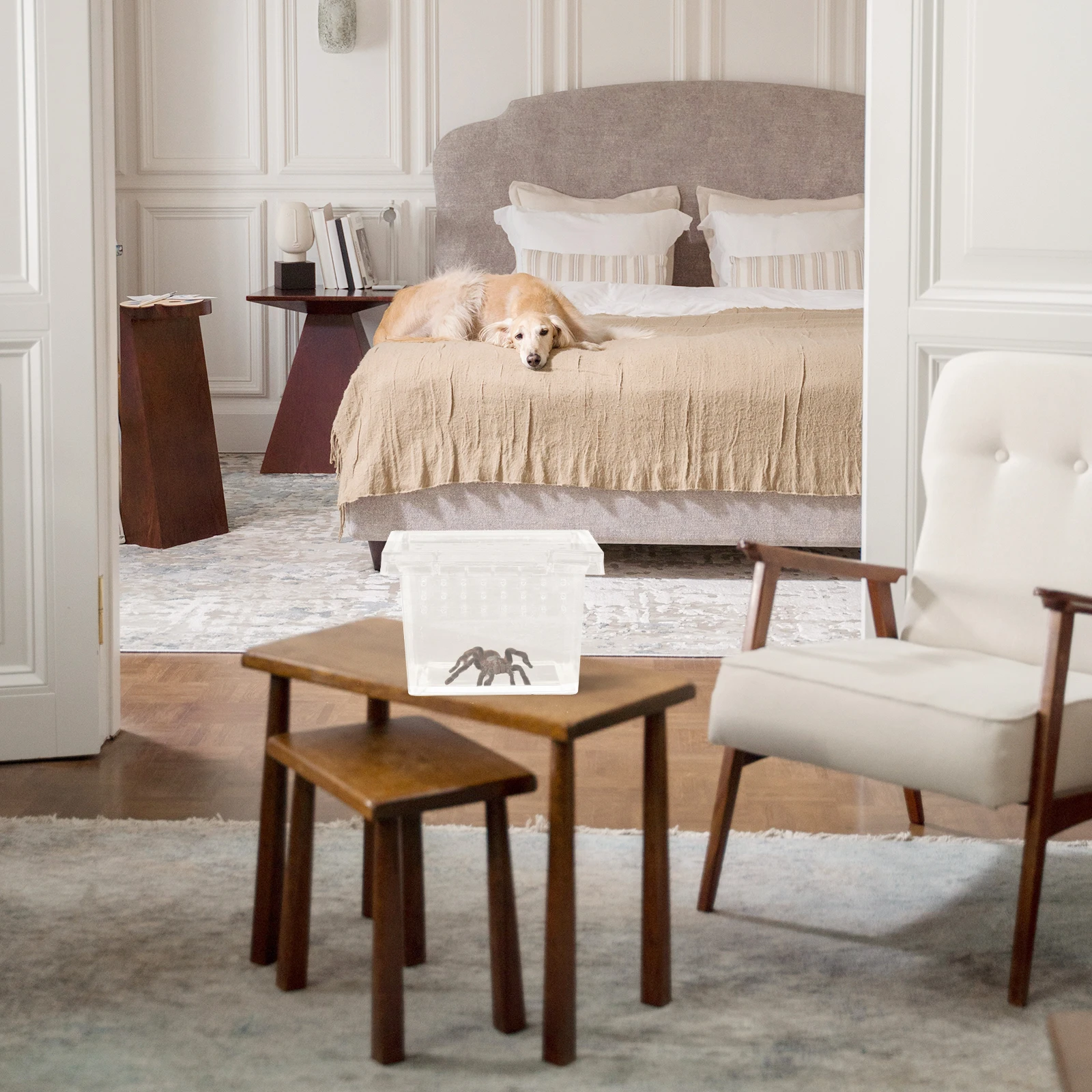 

Insect Feeding Container Medium Transparent Plastic Reptile Breeding Box For Turtle Spider Scorpion Hermit Crab Pet