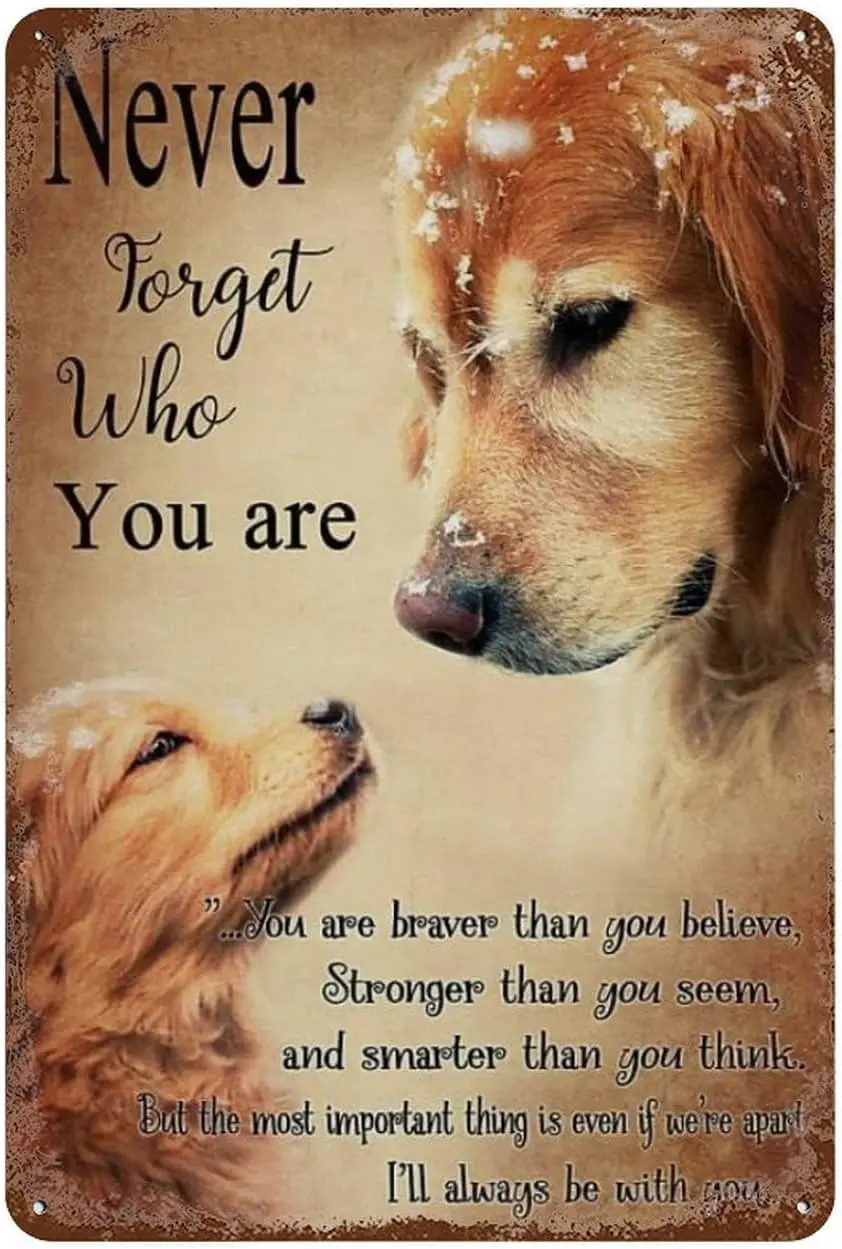Retro Tin Sign Golden Retriever Dog Never Forget Who You Are Tin Sign Wall Decor With For Home Living Room Bedroom Decor Gifts