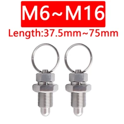 Customized M6M8M10M12M16 Stainless Steel Pull Ring Type Round Head Pin Grip Pull Ring Extension Index Pin Spring Positioning Pin