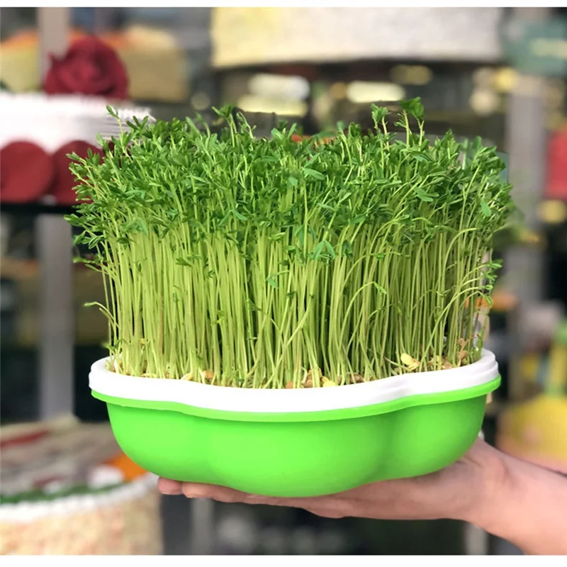 Pot de Germination de germes de haricots AF90, Pot de Germination hydroponique sans sol, Pot de plantation de semis de blé, plateau de semis de germes