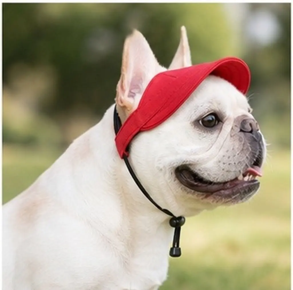 Summer Pet Hat Dog Visor Protection Adjustable Buckle Breathable Soft Canvas Material for Dogs Cats Outdoor Activities