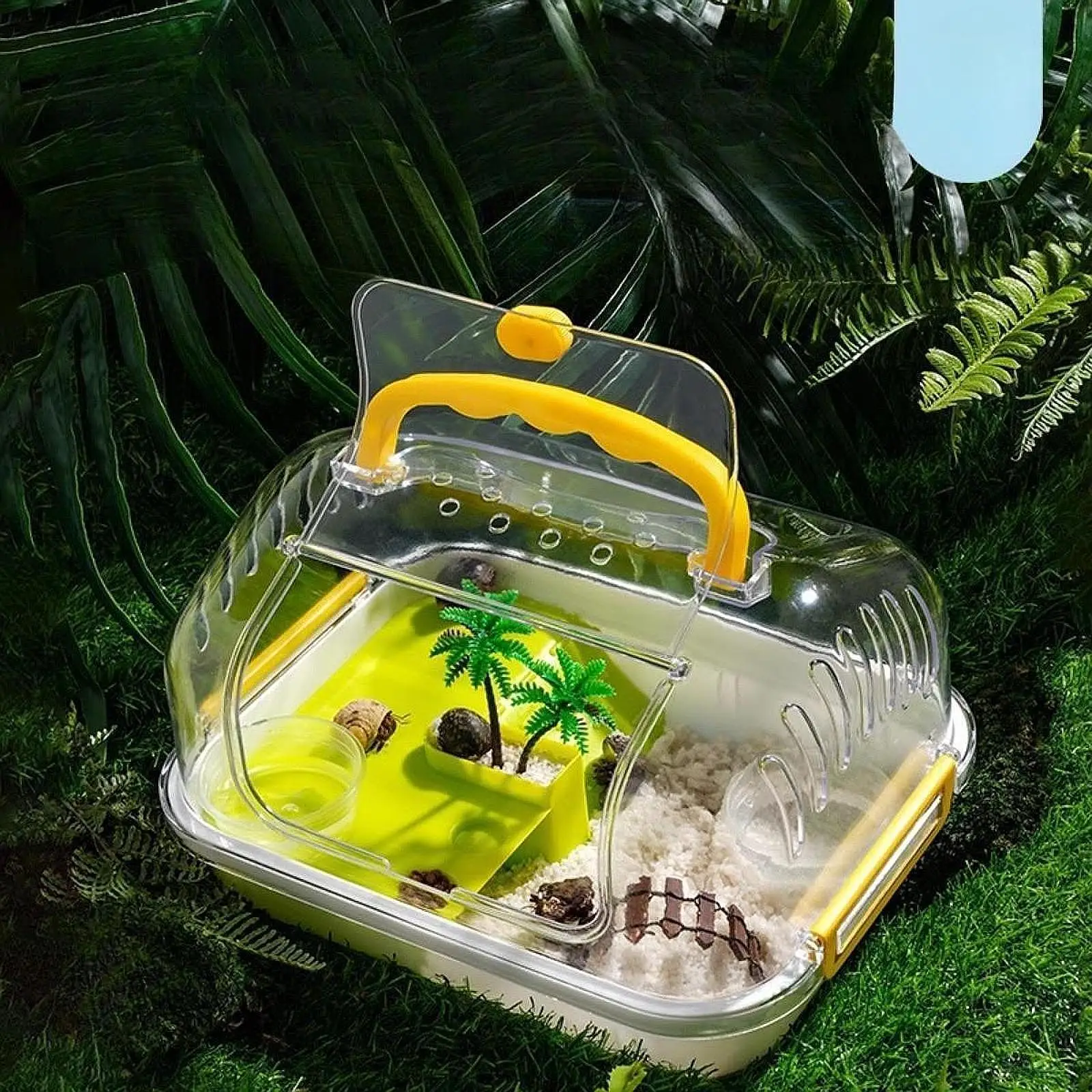 

Turtle Tank with Cover Hatching Reptile Carrier Box Reptile Feeding Box for Turtle Hermit Crabs Beetles Horned Frogs Silkworms