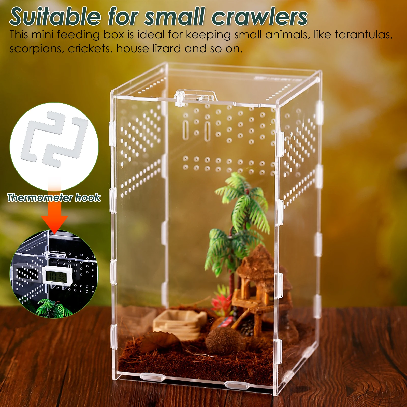 Reptile Habitat Terrarium Breeding Box Acrylic Case Terrarium Enclosure Acranged Transparent Climbing Pet Feeding Boxes Spider