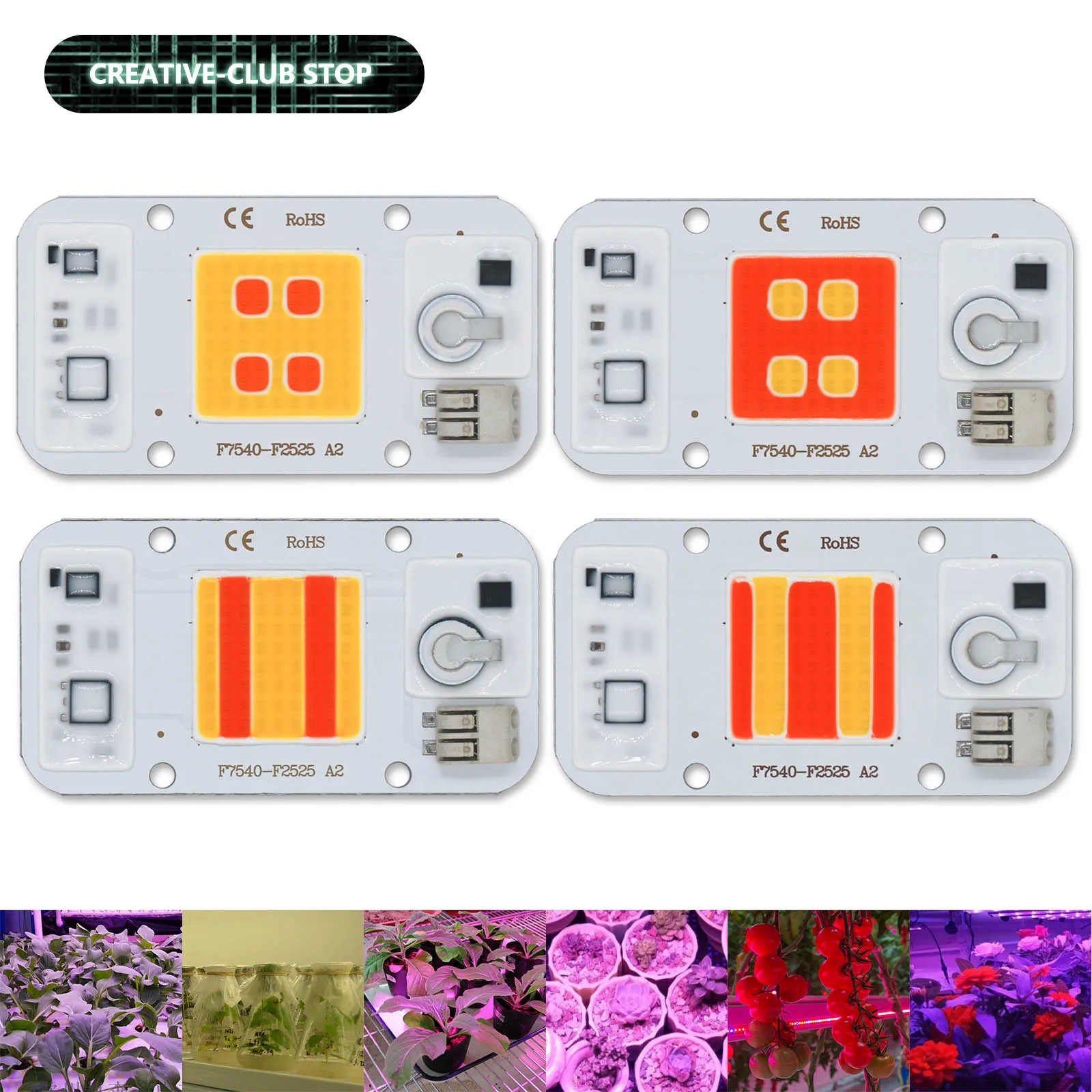 50W LED COB Chip Welding Free 220V Phyto Lamp Full Spectrum LED Diode For Plates Lamp Plant Seedling Grow Flower Growth Lighting