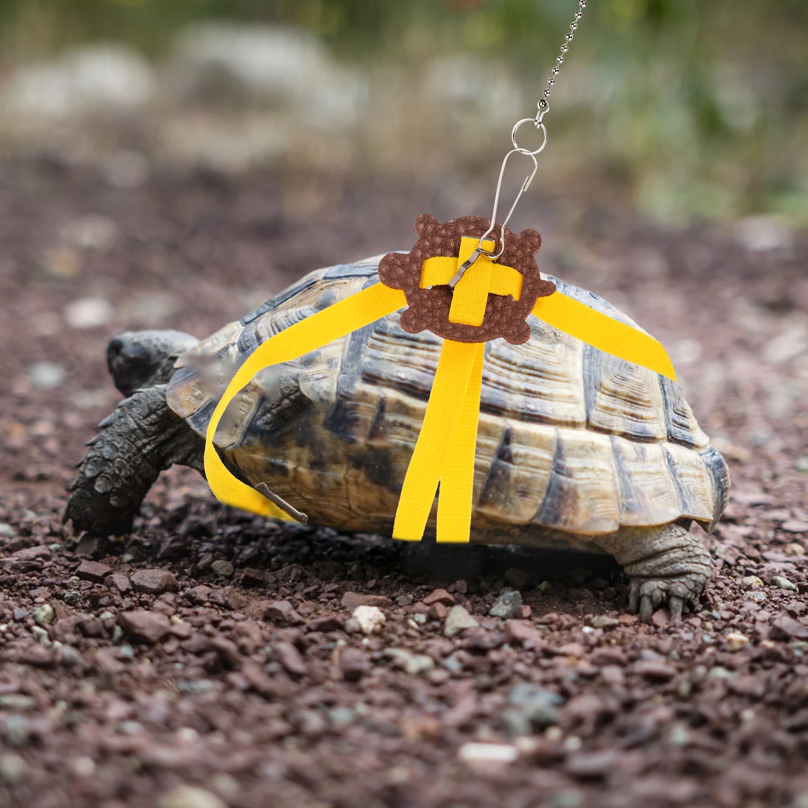 

Reptile Leash Pet Training Leash Turtle Training Leash Turtle Lead Turtle Leash