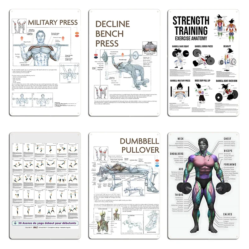 Dumbbell Pullover Decline Bench Press Exercise Diagram Metal Wall Decor Living Room Designer Plaques Tin Sign Poster