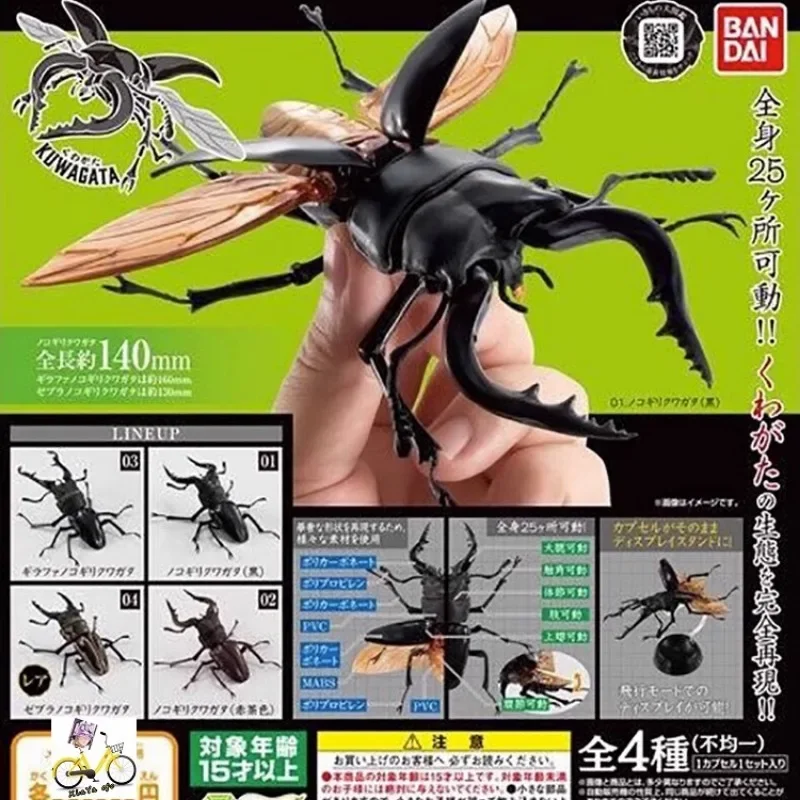 

BANDAI Original Japan Gashapon Action Figure Cute Simulation Insect Spade Beetle Kawaii Capsule Toys Anime Figurine Gift